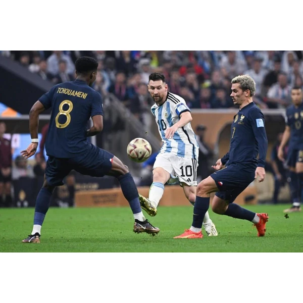 sports-yobosport.com.cn APP